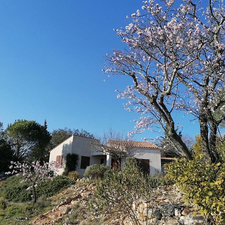 Les Romarins Villa Saint-Jean-de-Minervois Exterior foto