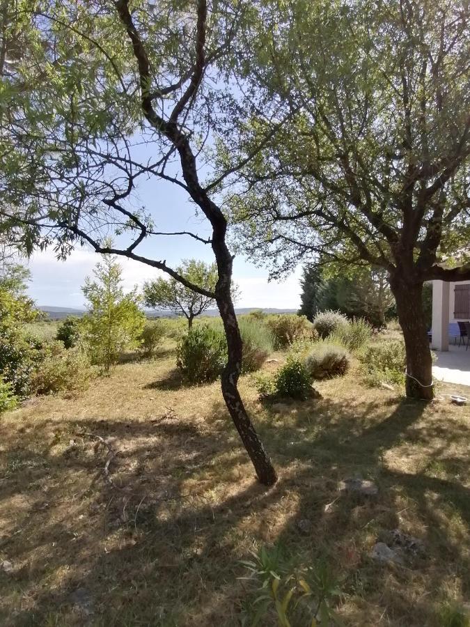 Les Romarins Villa Saint-Jean-de-Minervois Exterior foto