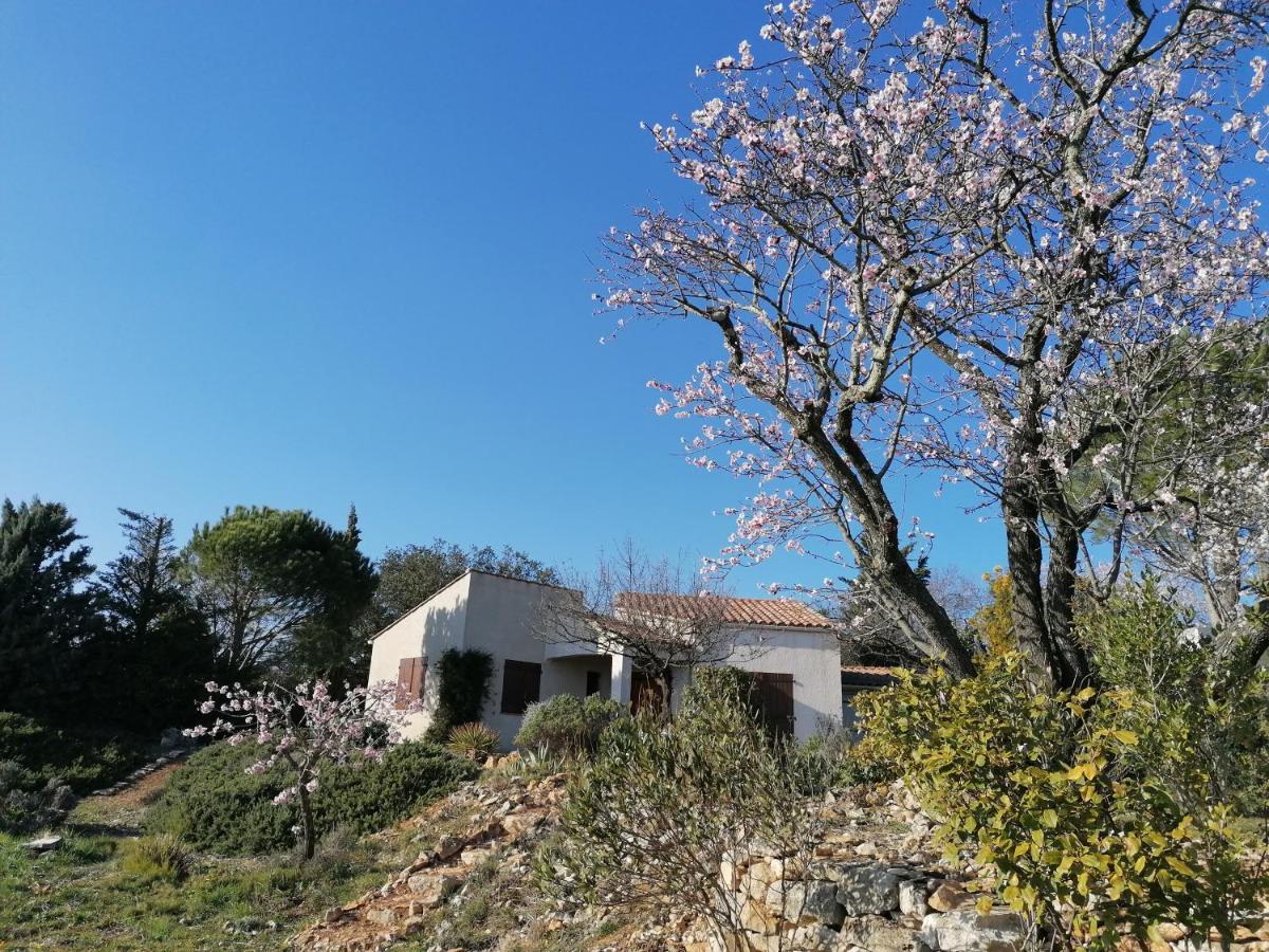 Les Romarins Villa Saint-Jean-de-Minervois Exterior foto