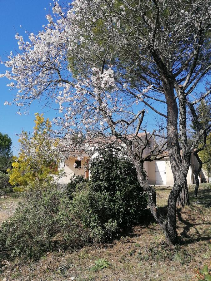 Les Romarins Villa Saint-Jean-de-Minervois Exterior foto