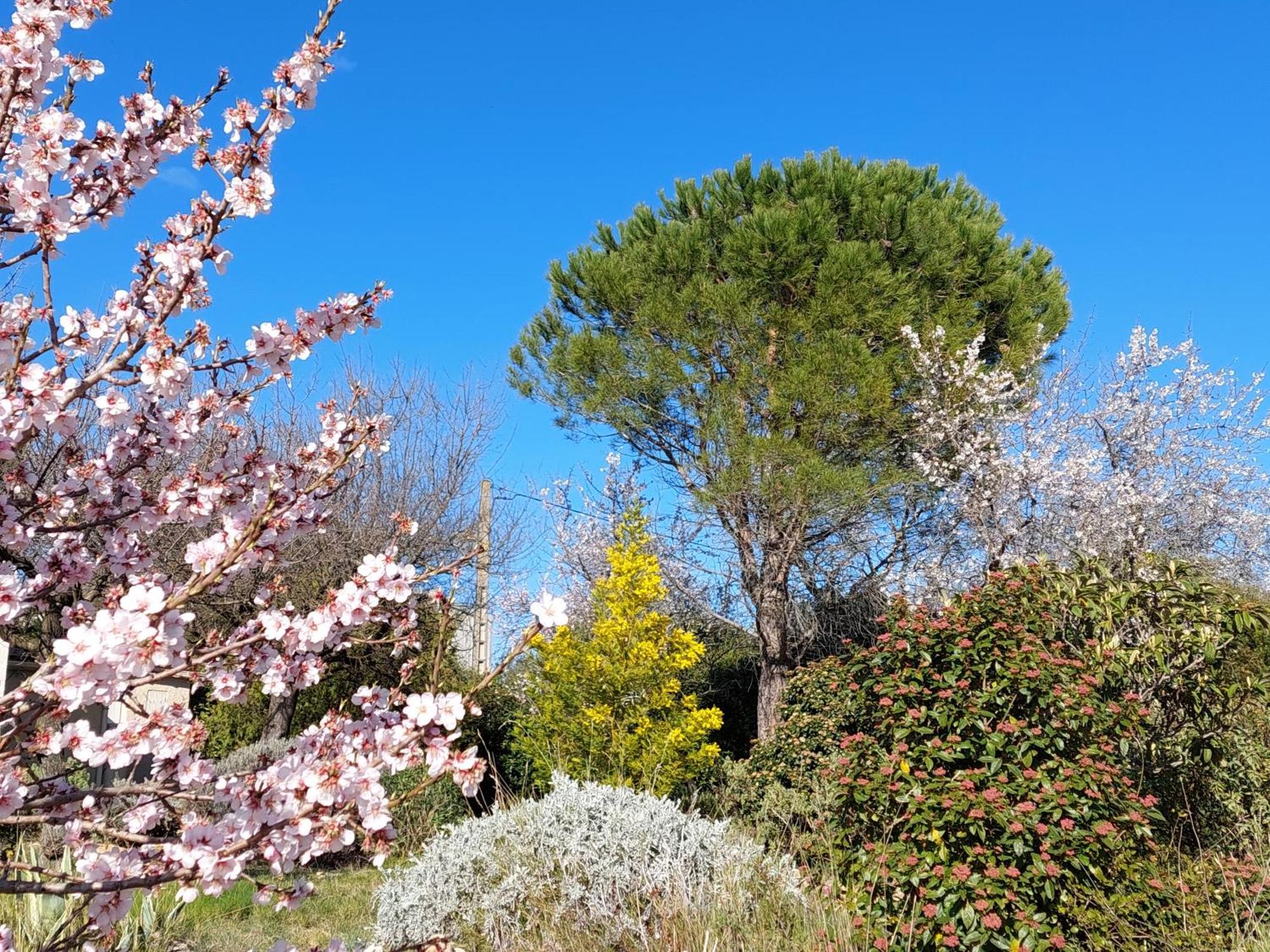 Les Romarins Villa Saint-Jean-de-Minervois Exterior foto